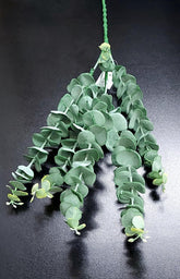 Ramură decorativă artificială tip suculentă – model curgător cu frunze rotunjite, verde mat